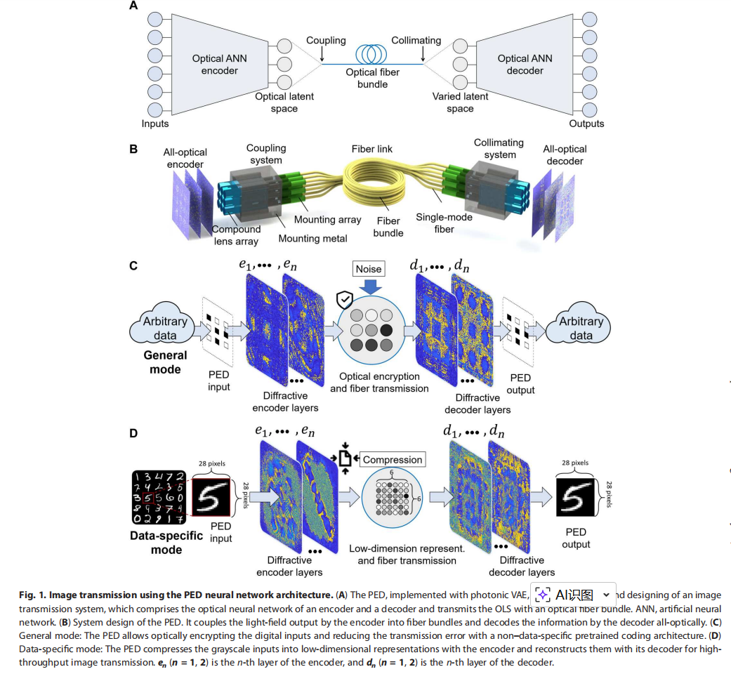 Photonic unsupervised learning variational autoencoder for high-throughput and low-latency image transmission